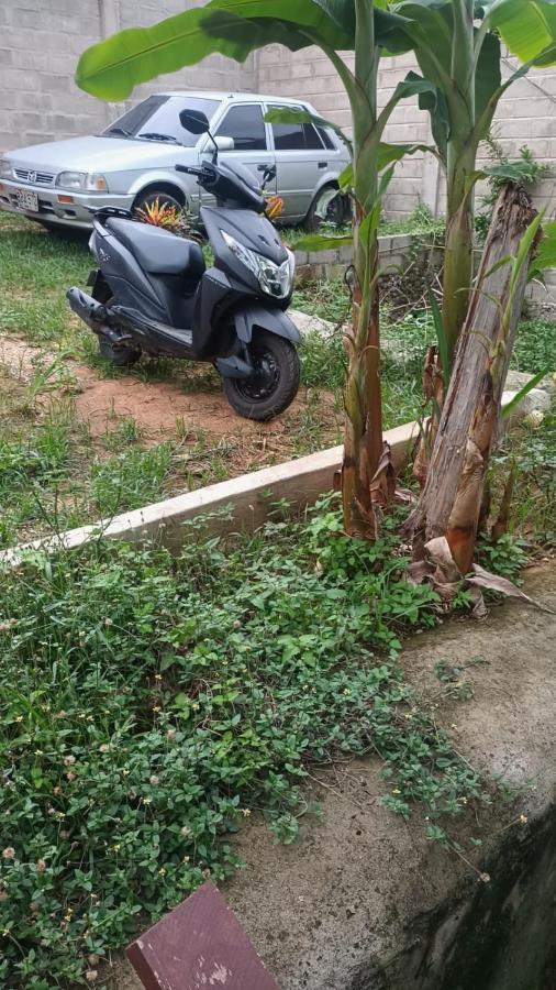 Sierra Tayrona Hostel El Zaino Zewnętrze zdjęcie