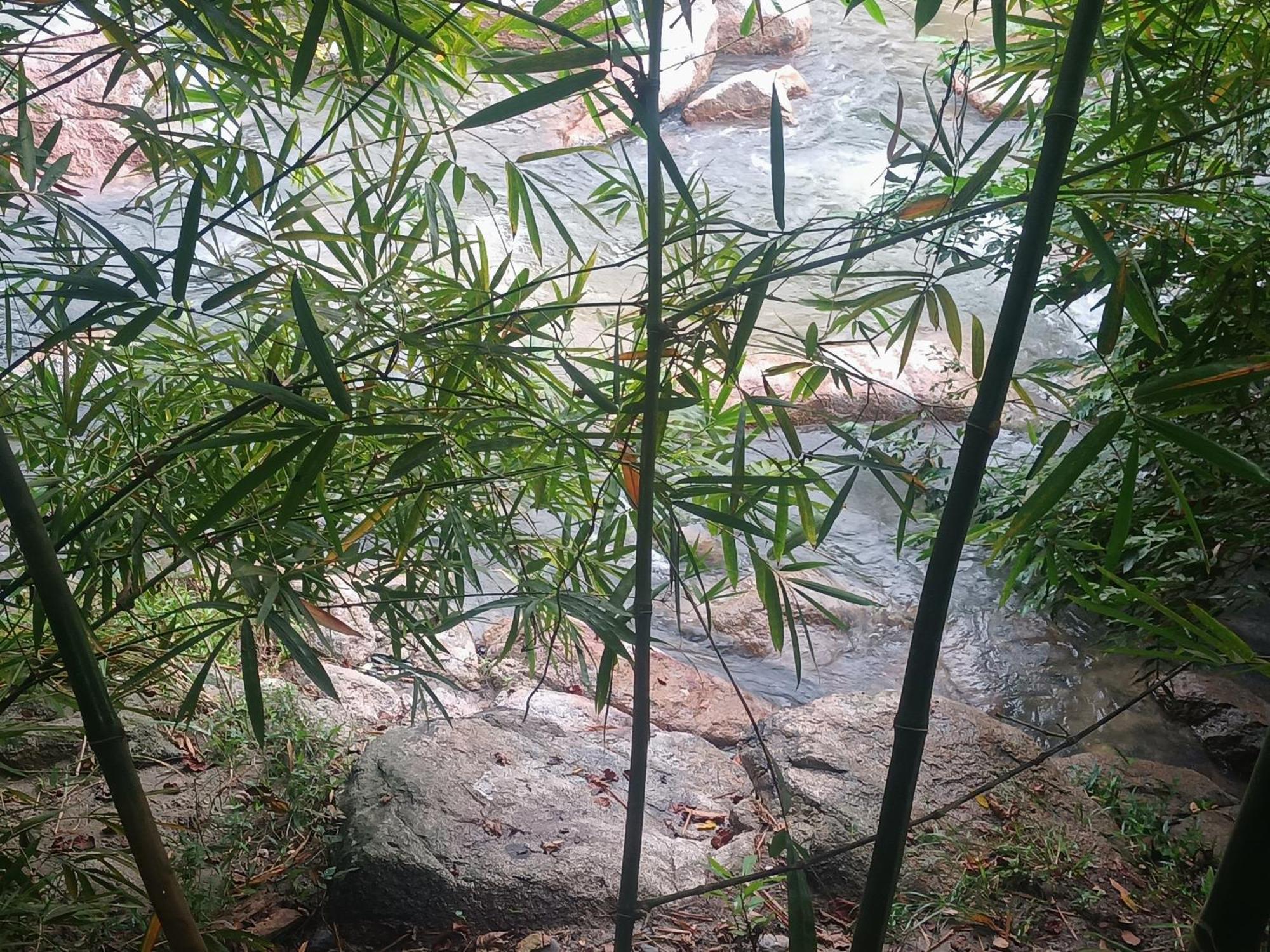 Sierra Tayrona Hostel El Zaino Zewnętrze zdjęcie