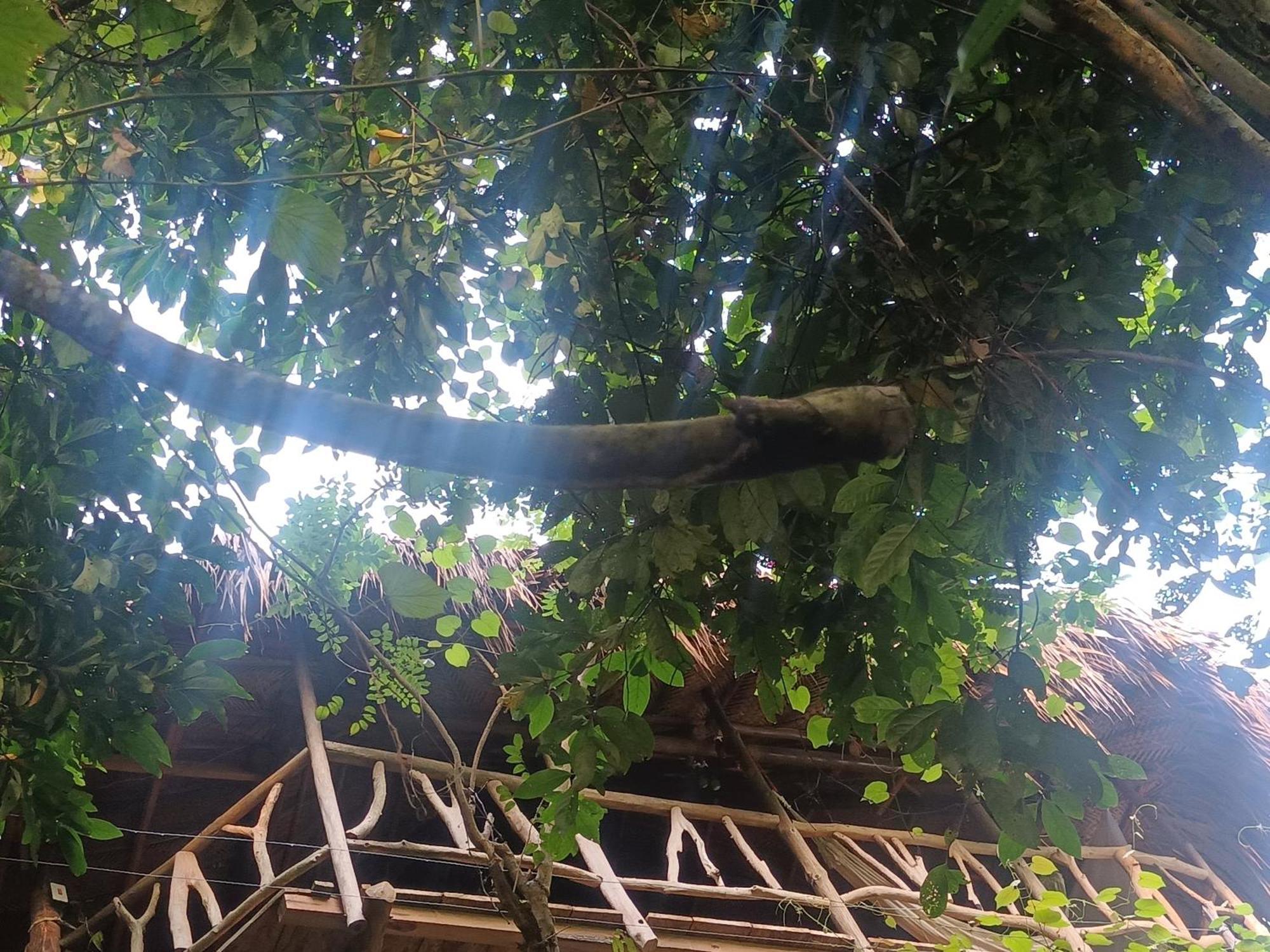 Sierra Tayrona Hostel El Zaino Zewnętrze zdjęcie