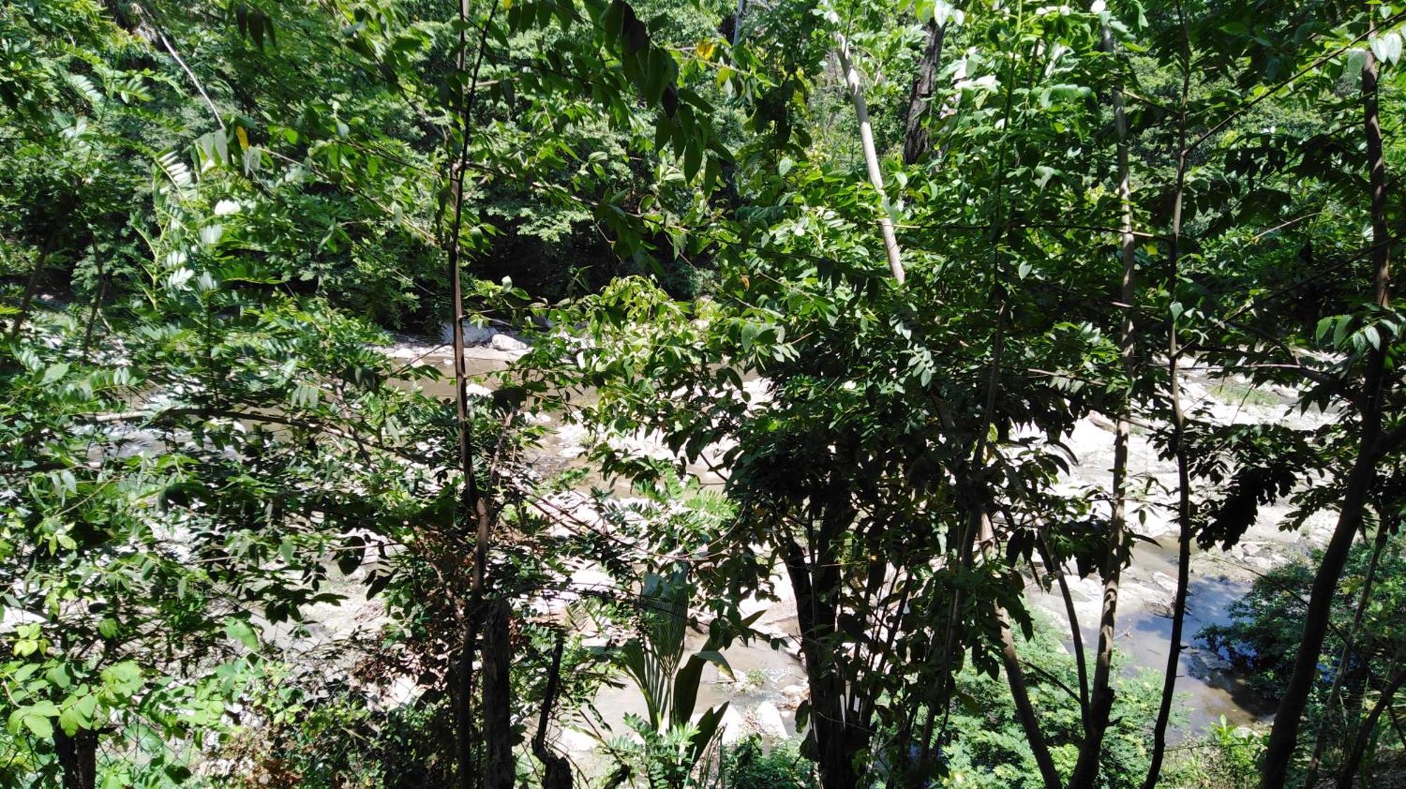 Sierra Tayrona Hostel El Zaino Zewnętrze zdjęcie