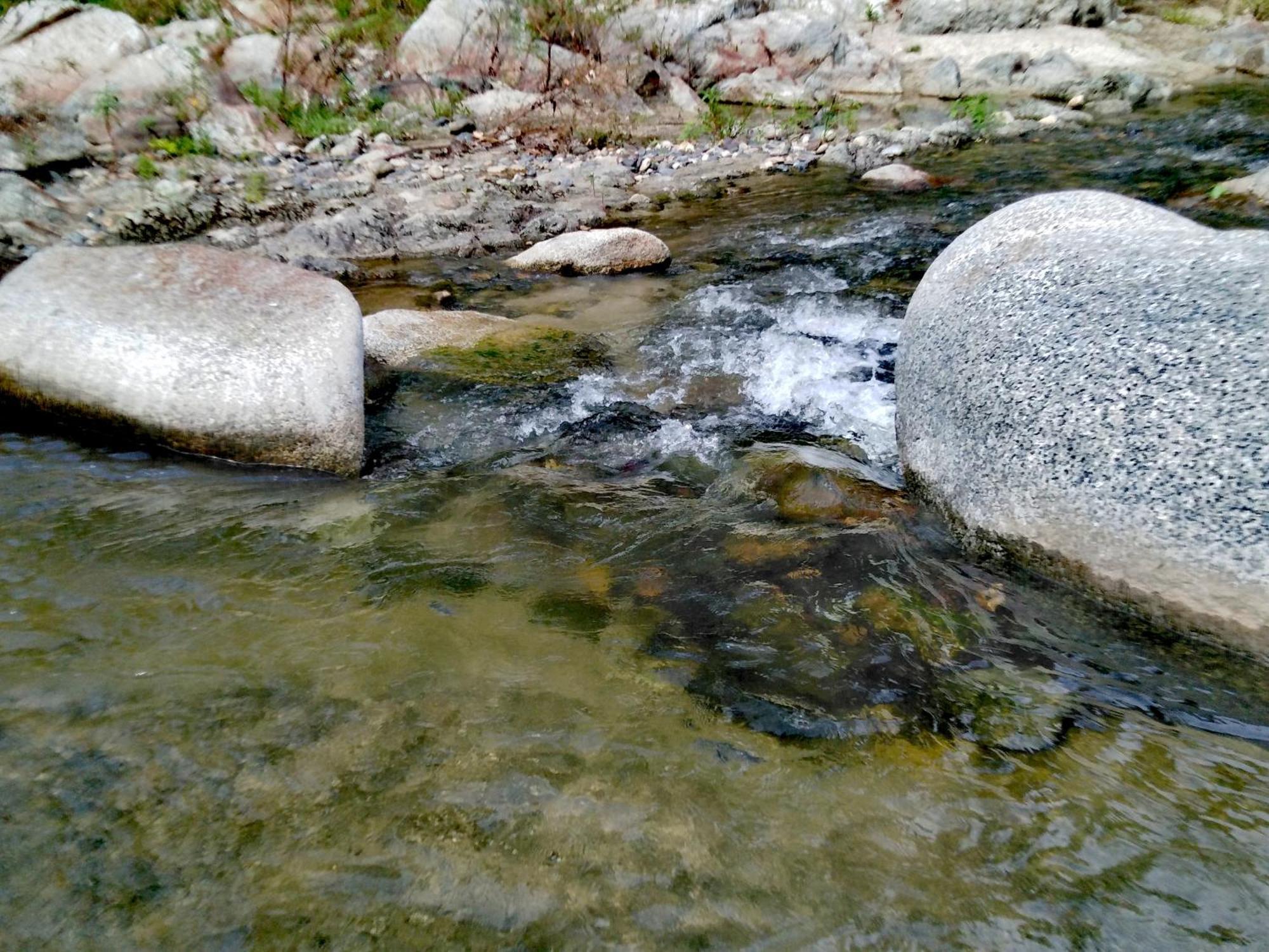 Sierra Tayrona Hostel El Zaino Zewnętrze zdjęcie