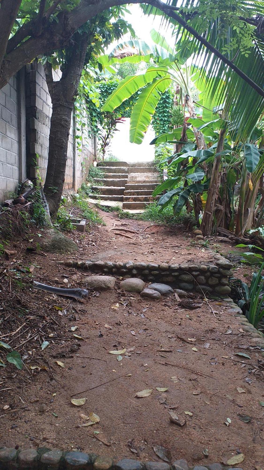 Sierra Tayrona Hostel El Zaino Zewnętrze zdjęcie